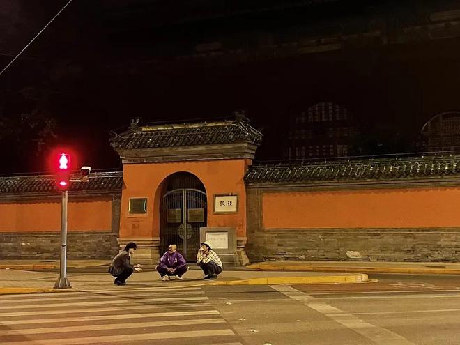 悬赏10万找鸽子，拍成电影能多抽象？