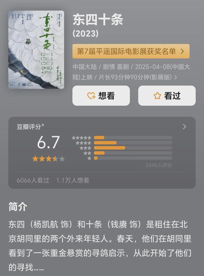 悬赏10万找鸽子，拍成电影能多抽象？