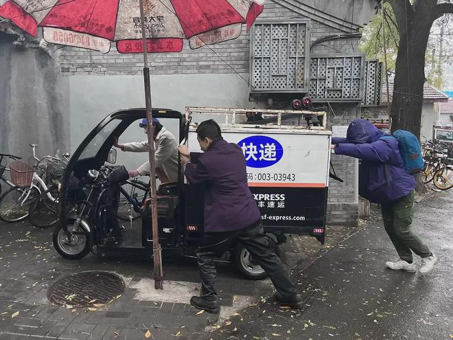 悬赏10万找鸽子，拍成电影能多抽象？