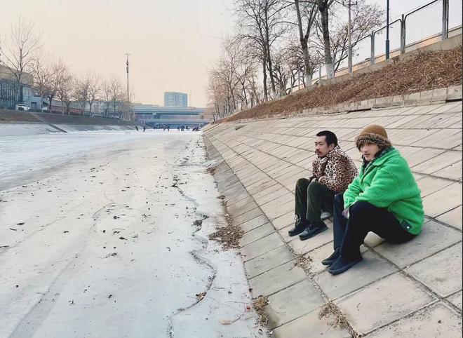 悬赏10万找鸽子，拍成电影能多抽象？