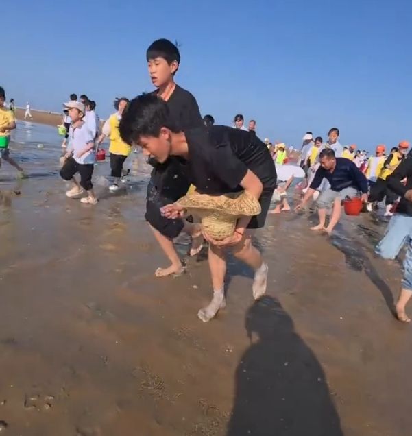 都不白来！山东一景区给赶海游客撒蛤蜊