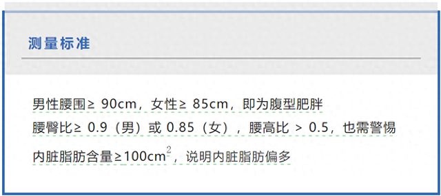 肚子上的肉越来越多了？小心！你的脑子可能越来越小了
