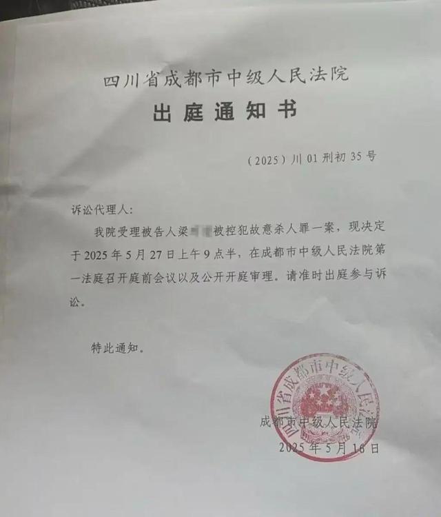 叶舒华发声:精神病不是免死金牌