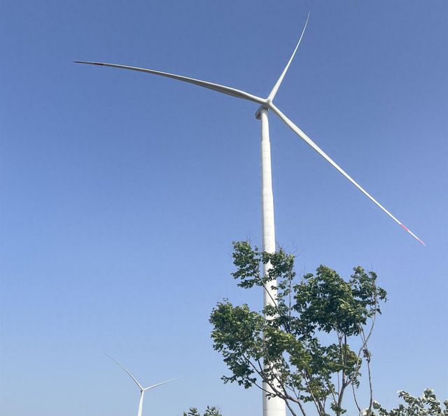 桐柏县平氏镇：聚势赋能强引擎 擘画产业振兴新图景
