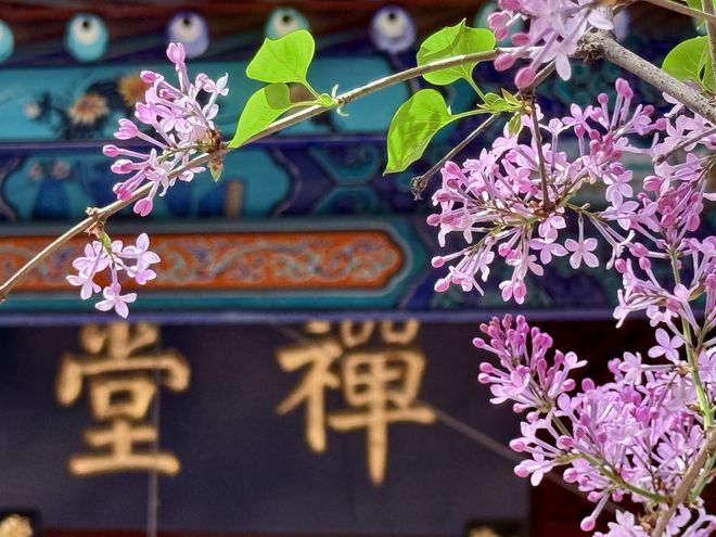 北京最潮的人，怎么都爱这个“菜古里”