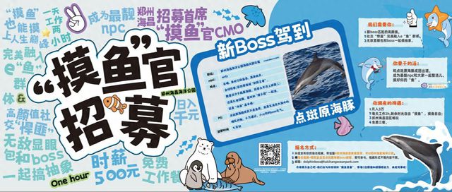 郑州海昌海洋公园月薪三万招募“首席摸鱼官”！
