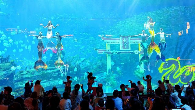 郑州海昌海洋公园月薪三万招募“首席摸鱼官”！
