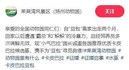 网红“豆包”全国征婚：无需彩礼有编制，嫁妆为“豪华别墅”