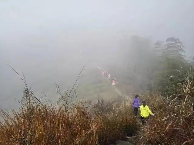 全网想看的爆款内容，她写累了