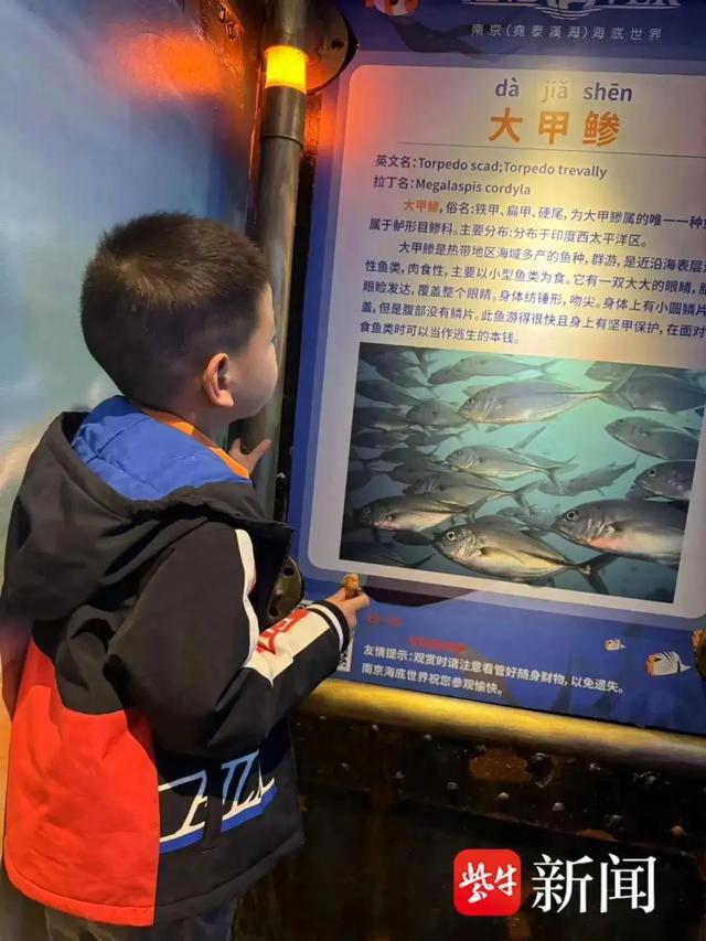 二年级小学生给语文课本挑错，人教社回信了！