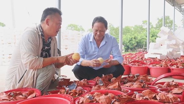 潢川县：“甜蜜”产业  “桃”出乡村振兴金路子