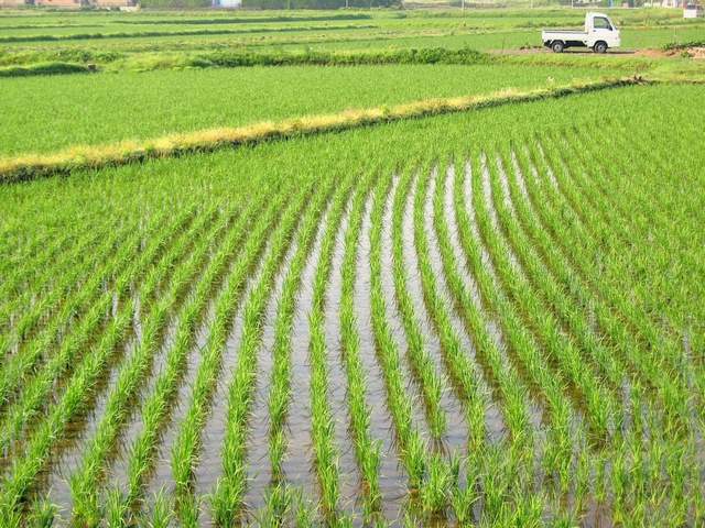 梅雨“锁”江南，季风雨季却在助力印度经济增长