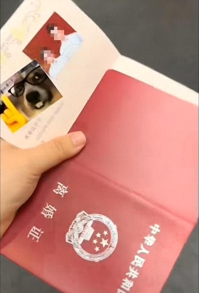 结婚证发成离婚证 民政局:已道歉