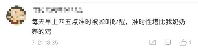 最近河南多人中招，直呼恶心！专家：今年是“大年”！