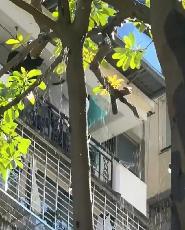 最近河南多人中招，直呼恶心！专家：今年是“大年”！