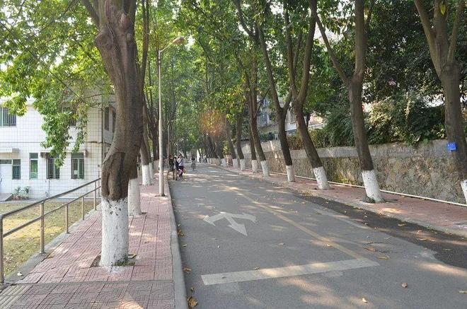 想装空调的大学生，真的吃不了苦?