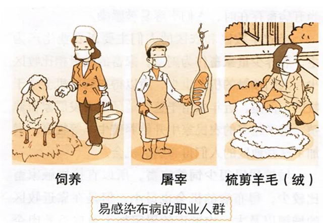 4岁娃腿疼发烧一整年，元凶竟是一杯奶！