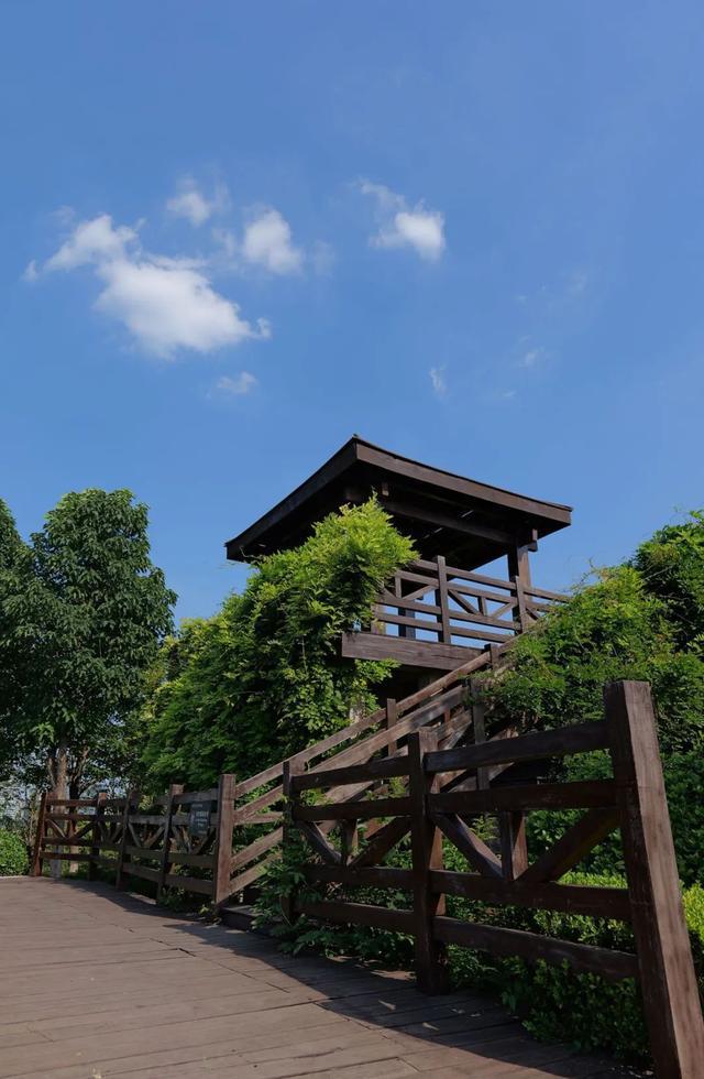 郑州市森林公园： “龙湖”“凤山”绘锦绣