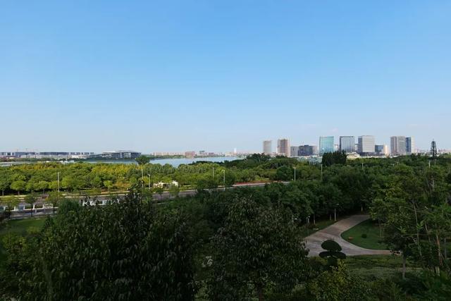 郑州市森林公园： “龙湖”“凤山”绘锦绣