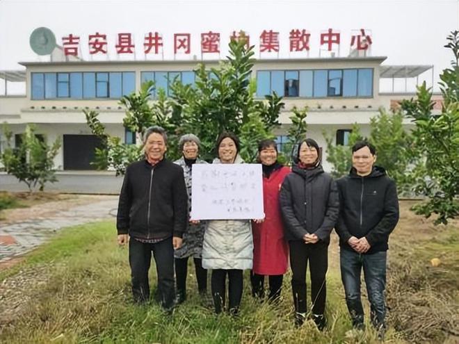 中国人保定点帮扶，连续七年获得最高等次评价！