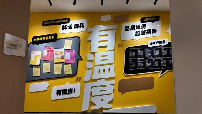 专升本毕业，在直播间与学历和解