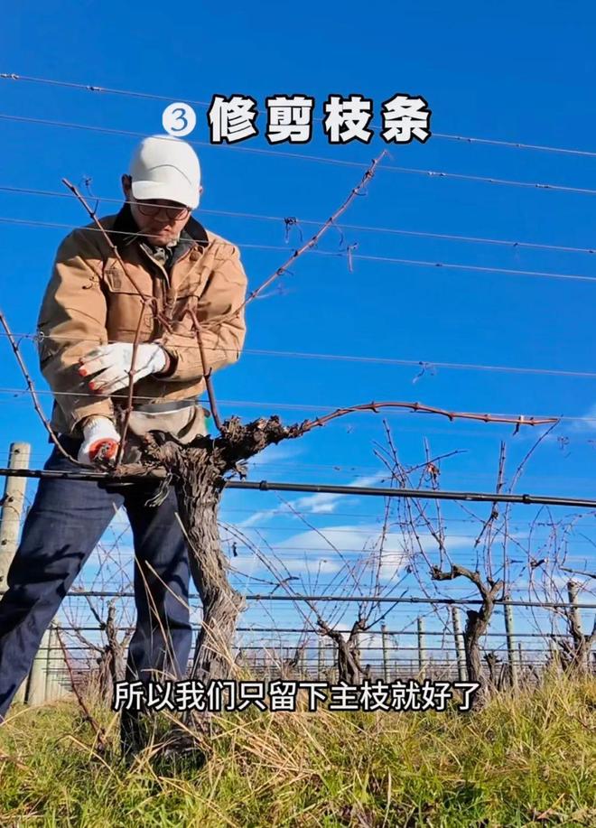 留学去新西兰干体力活，治好年轻人的工作内耗