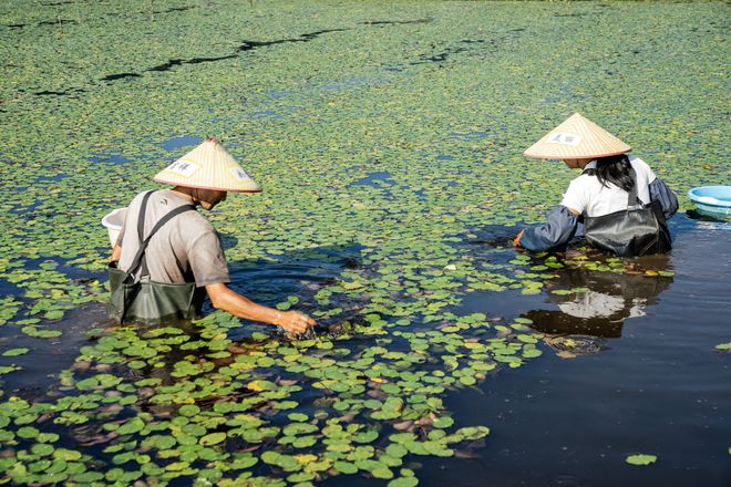 超好吃的湖北小城，夏天穿长袖都怕冻着