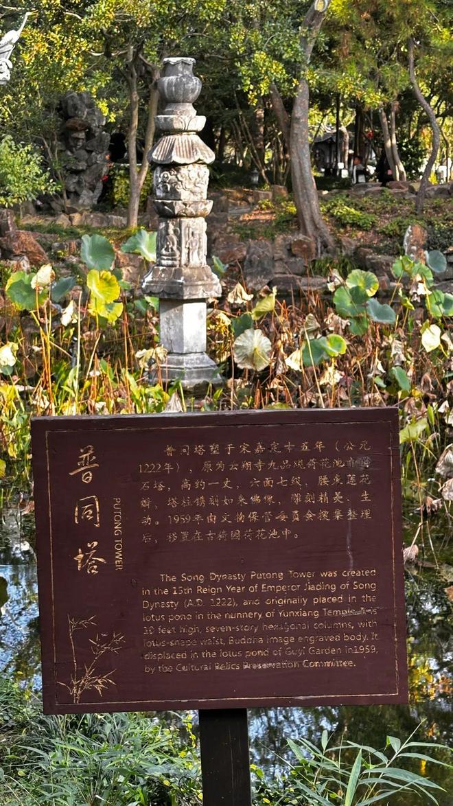 上海最冷门的赏秋景点，能省一大笔“沪币”