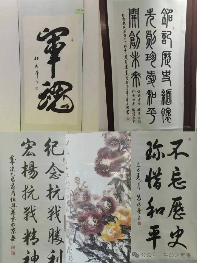 一老一小工程在行动之纪念中国人民抗日战争胜利八十周年在京举行