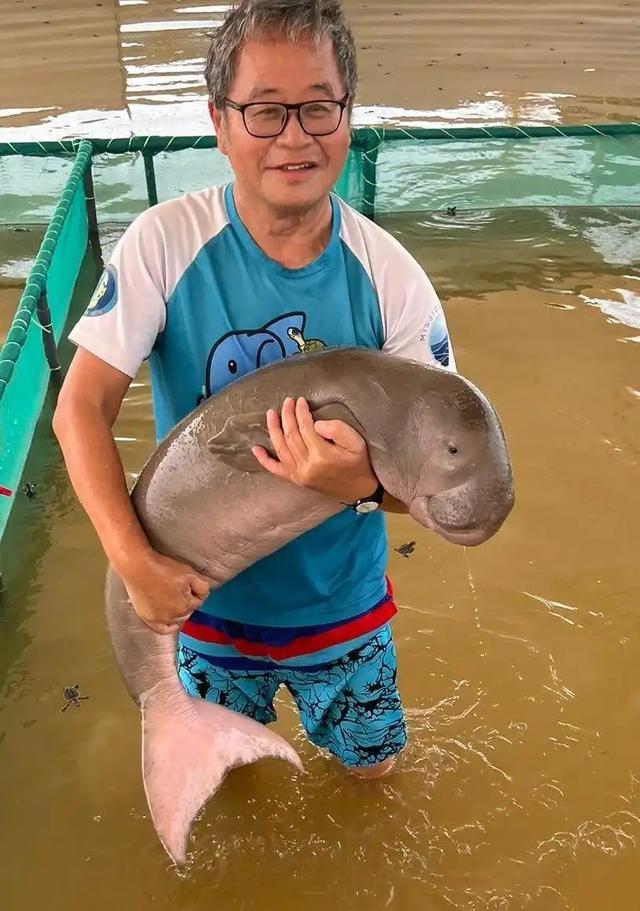 消失30年的海洋精灵儒艮重现永暑礁 ，此前曾被宣布功能性灭绝
