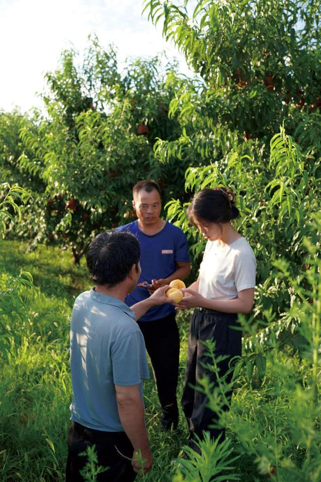 年轻人辞职回村卖水果，比打工开心