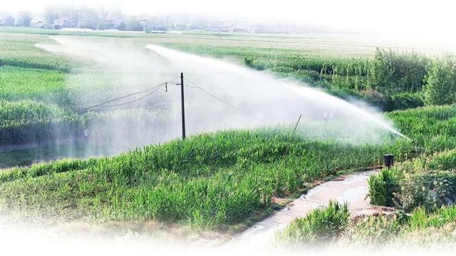 雨在路上！抗旱保秋，河南怎么做？