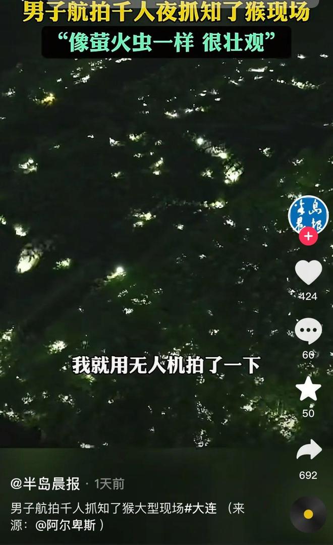 180元/斤的知了猴，快被山东人薅没了